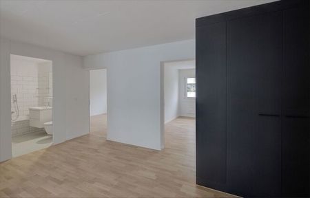 Your new home - renovated for you - Photo 3