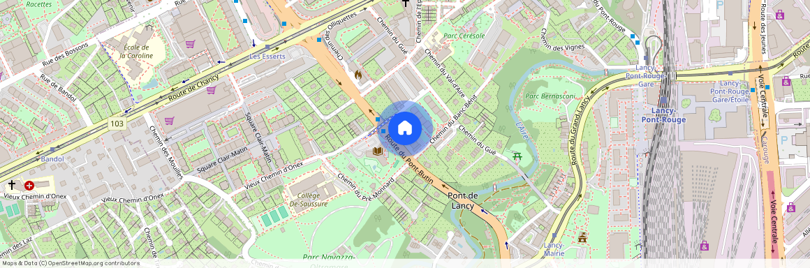 Chemin du Banc-Bénit 38, 1213 Petit-Lancy