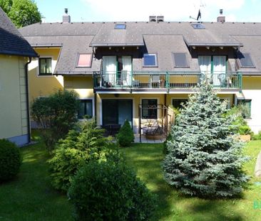 Terrassenwohnung mitten im Grünen – beim Lainzer Platz´l - Photo 3