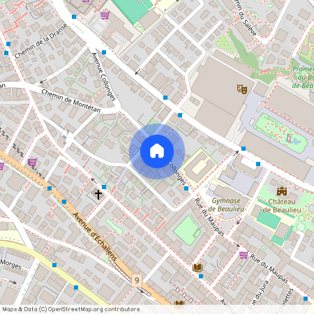 Avenue de Collonges 9, 1004 Lausanne