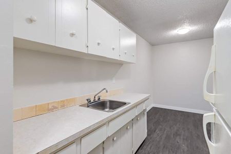 Renovated Suite - 1 Bedroom - Photo 5