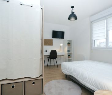 HALUCHERE Roommate 4 Bedrooms at Nantes - Photo 1