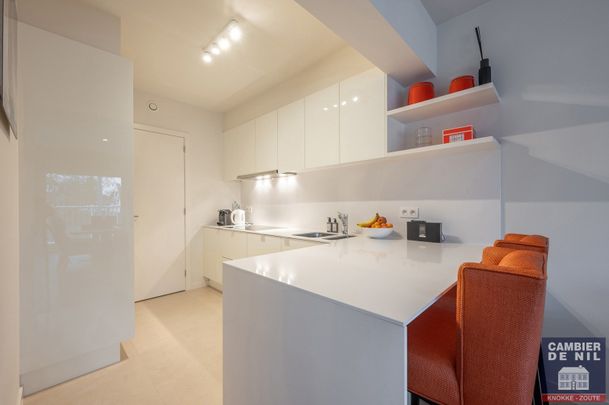 Prachtig, gemeubeld appartement op de Kustlaan met open zicht - Photo 1