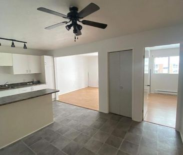 GRAND ET LUMINEUX 4.5 DISPONIBLE 1er JUILLET 2025 - Photo 1