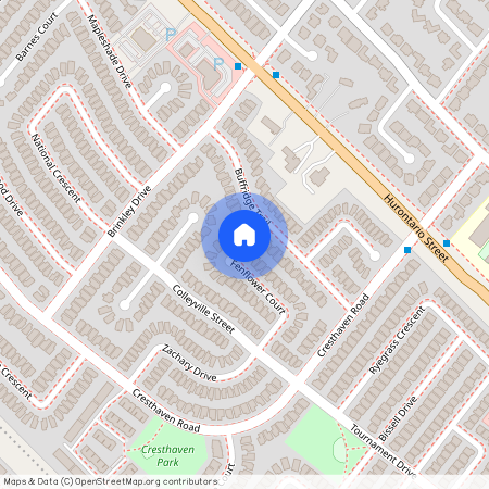 33 Fenflower Court, Brampton