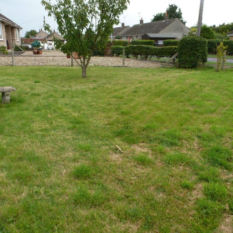 Lodge Road - Photo 1