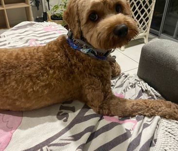 Little Mountain - Photo 3