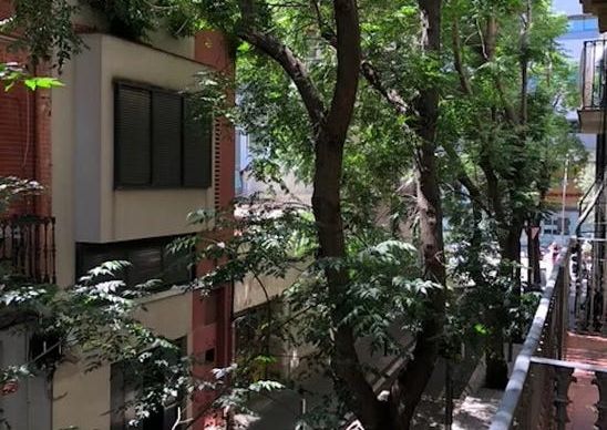 Ingenio, Canary Islands 35259