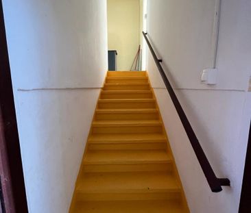 Location appartement 1 pièce, 32.00m², Cayenne - Photo 1