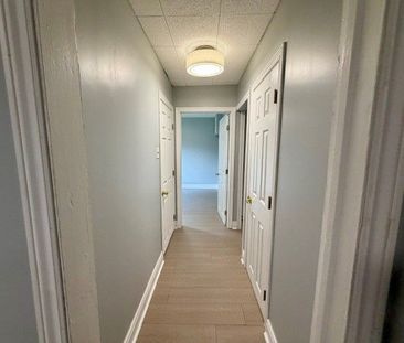For Lease - 220 Ruggles Avenue, Richmond Hill, Ontario - Photo 4