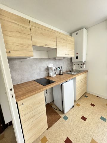 Location Appartement 1 pièce 31m² GRENOBLE 38100 - Photo 3