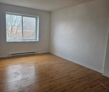 1 CH - 1 SDB - Montréal - $1,245 /mo - Photo 4