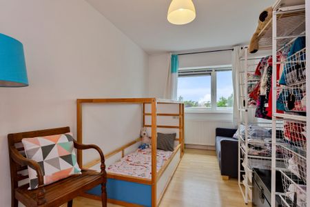 EINDHOVEN, Zandroos - Photo 5