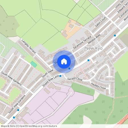 Langley Terrace, Stanley