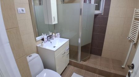 Apartament de inchiriat, 3 camere, decomandat, 65 mp, Pacurari, PETRU PONI, PIZZA SMILE, Cod 160170 - Fotografie 5