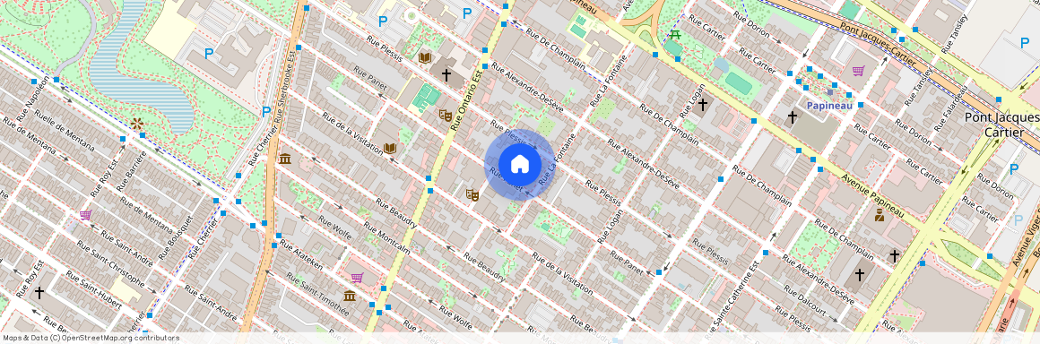 1825 Rue Panet, app.1, H2L 3A1, H2L 3A1, Montréal