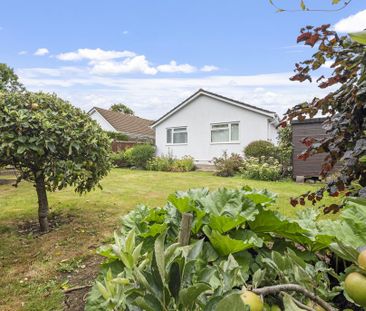 2 bedroom bungalow to rent - Photo 5