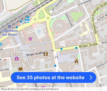 MIETE: Ober-Ingelheim, Studio-Wohnung mit 4-Zimmern, EBK und einen ... - Photo 1