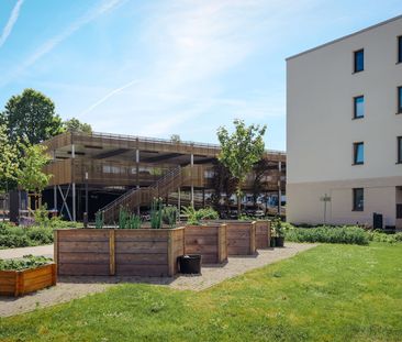 Wohlfühlcharakter auf 2 Etagen, 3-Zimmer Maisonettewohnung mit Terr... - Foto 1