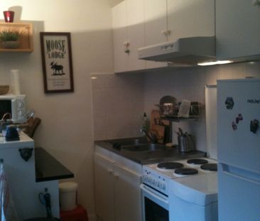 Studio 26 m² - 1 pièce - Le Chesnay Rocquencourt (78150) - Photo 1