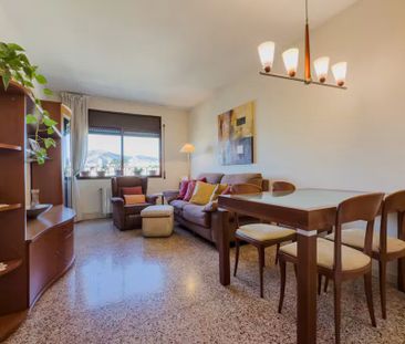 Carrer de Terra Baixa, L'Hospitalet de Llobregat, Catalonia 08901 - Photo 2