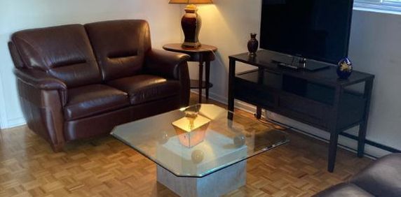 3 1/2 Meublé Ahuntsic - Photo 2