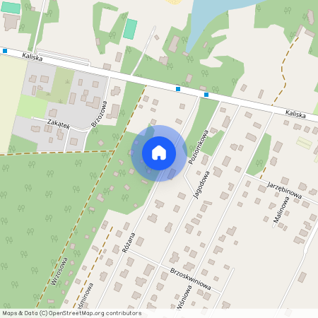 ul. Różana, Szałe, Opatówek, kaliski, wielkopolskie, Kalisz