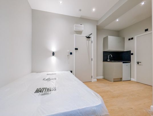 Studio Flat, Blenheim Mansions, SW2 - Photo 1