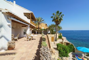 Papavents WINTER OFFER