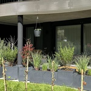 2.5 Zimmer, 67 m², EG - Foto 2