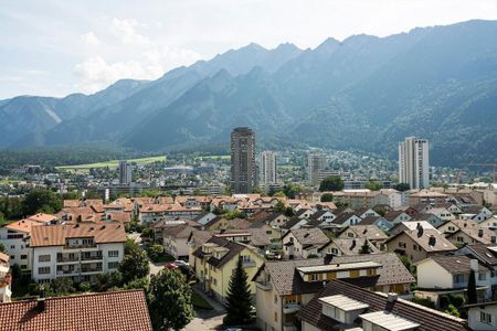 In der Abendsonne - Foto 3