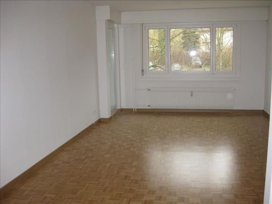 "Greifensee zum Greifen nahe!" - Photo 1