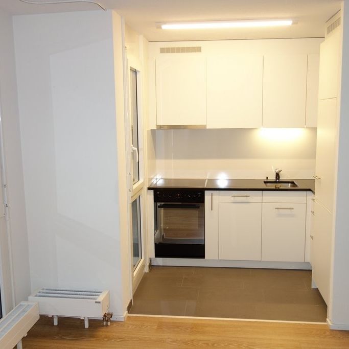 Moderne Wohnung mitten in 8004 Zürich - Foto 1