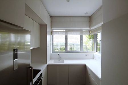 Nice Three Bedroom Penthouse on the Park - South Bucharest - Fotografie 4