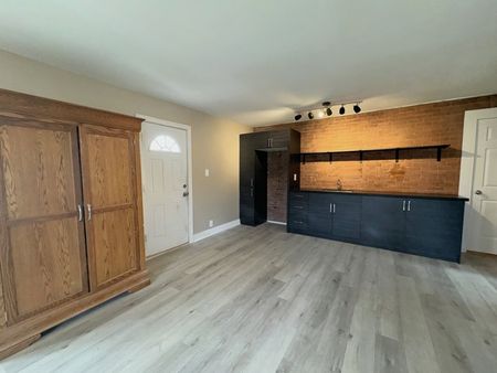 Central Barrie: Newly Renovated 1 Bed, 1 Bath Unit, Wellington St. West - Photo 5