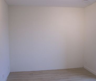 Te huur: Appartement Luitestraat in Haarlem - Foto 3