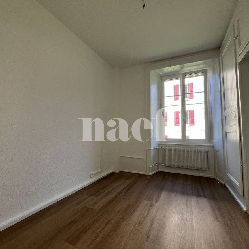 3 Zimmer, EG - Photo 1