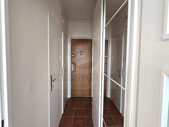 Pronájem bytu 1+kk 25 m2 - Fotografie 1