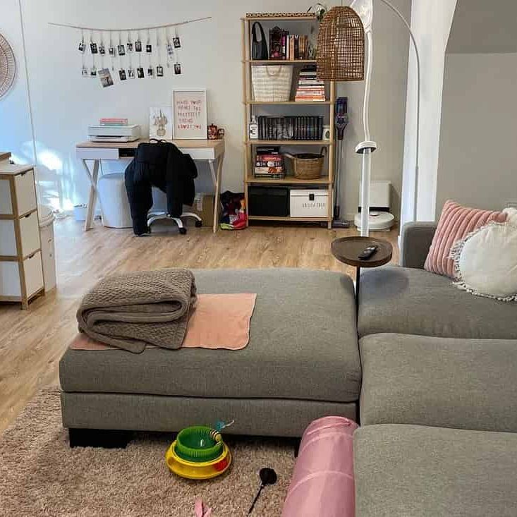 Lovely Saint Heliers Studio - Photo 1