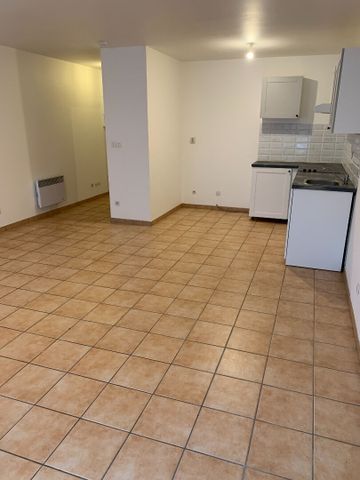 Location Appartement 1 pièce 43m² - Photo 3