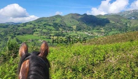 Alquiler de casa de pueblo en La Rebollada s/n - Photo 4