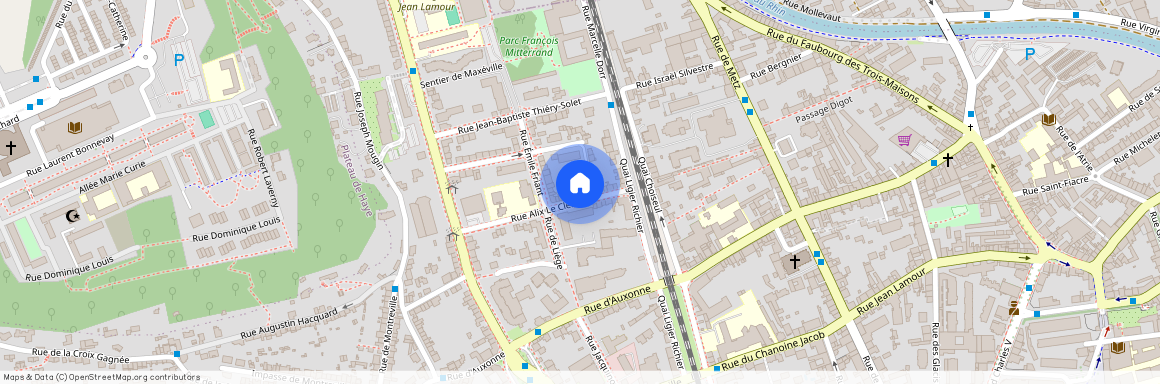 16 RUE ALIX LE CLERC, Colline Scarpone, Nancy