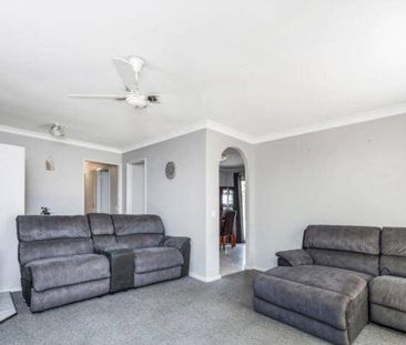 Neat and Tidy - Photo 3