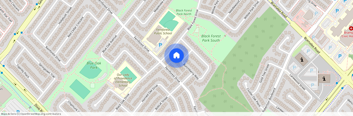 136 Bunchberry Way, Brampton