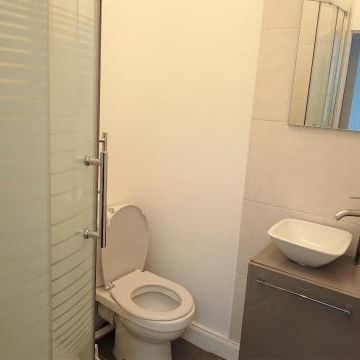 Location Appartement 1 pièce 20m² POITIERS 86000 - Photo 4