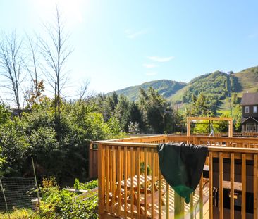 For Lease - 107 ROSIE Street, Blue Mountains, Ontario - Photo 3