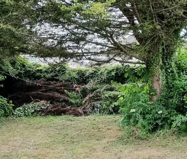 Apartment for rent, Shanard Road (Dublin, Ireland) - Photo 6