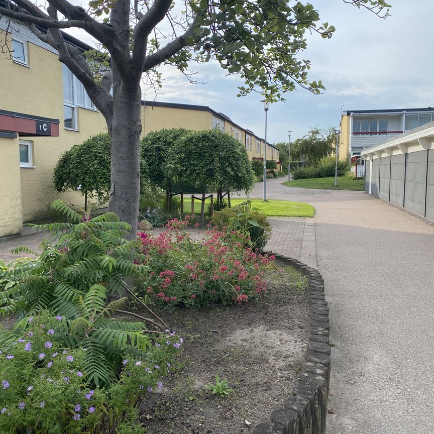 Annerovägen, Helsingborg - Foto 1