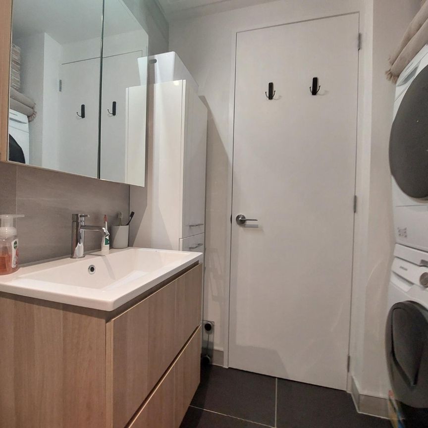 1 Bedroom mordern apartment - Handbag dog or Cat is welcome! - Photo 1