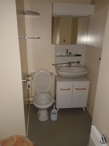 Location Appartement 1 pièce 15m² TOURS 37000 - Photo 3